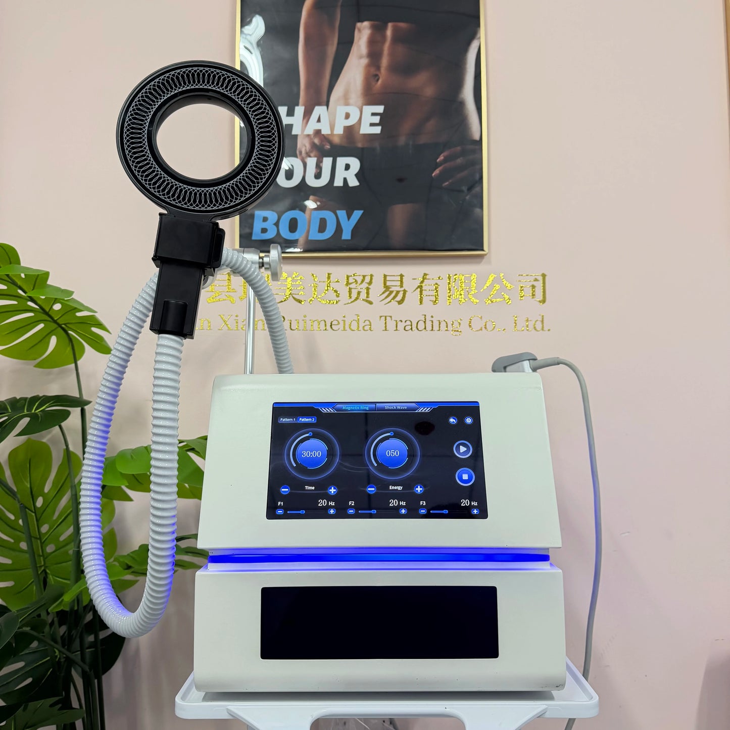 Portable EMTT Physiotherapy Magnetotherapy Machine PEMF Pain Relief for Sports Injuries - Non-invasive Therapy Device